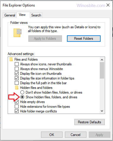 在 Windows 10 中显示隐藏的文件夹和驱动器