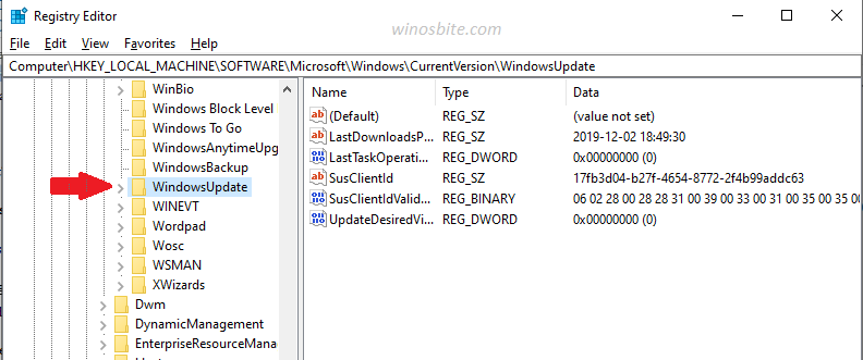 注册表编辑器中的 Windows 更新选项