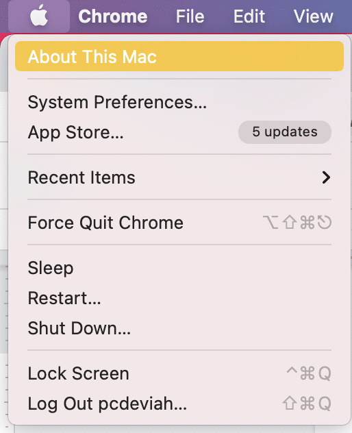 单击关于本机。 修复慢启动 Mac