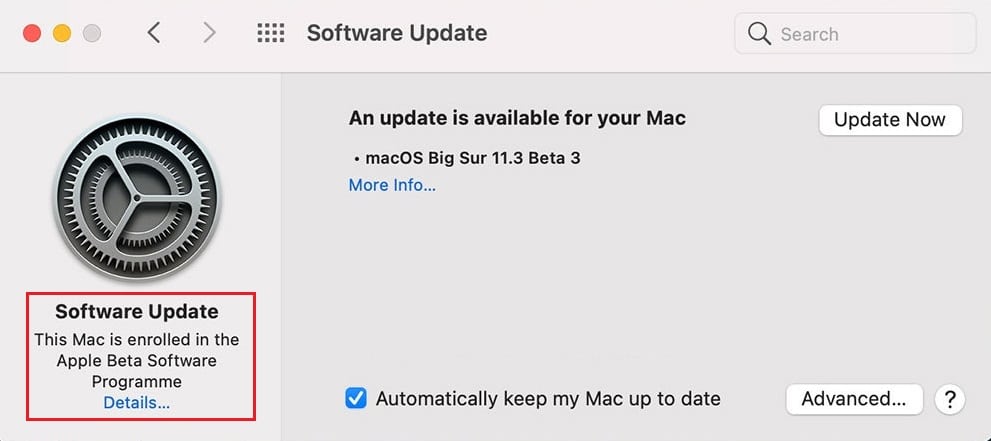 单击此 Mac 已注册 Apple Beta 软件计划下的详细信息选项