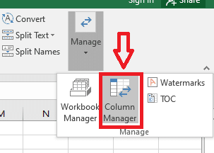 在管理选项卡中，你必须选择列管理器。 |  在 Excel 中交换列或行