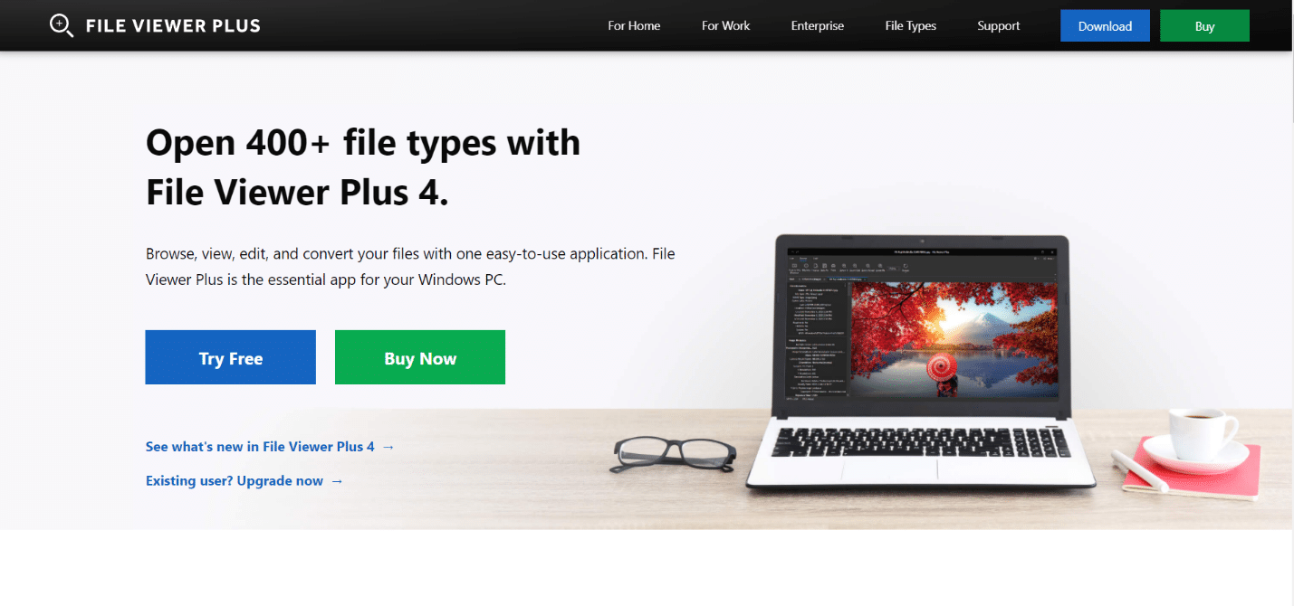 File Viewer Plus